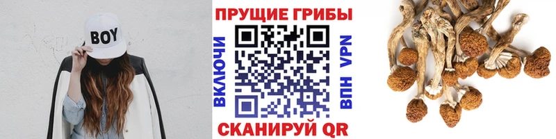 где купить наркоту  Билибино  Галлюциногенные грибы мухоморы 